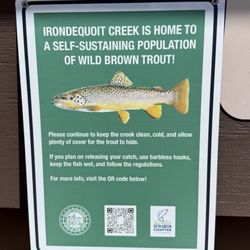 Ellison Park - Wild Brown Trout in Irondequoit