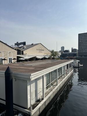 T.Y. HARBOR by null