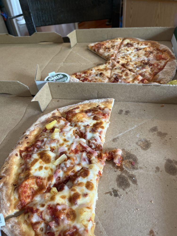 Papa Johns Pizza Logo