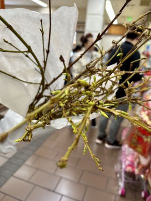 Asian Garden Mall by null