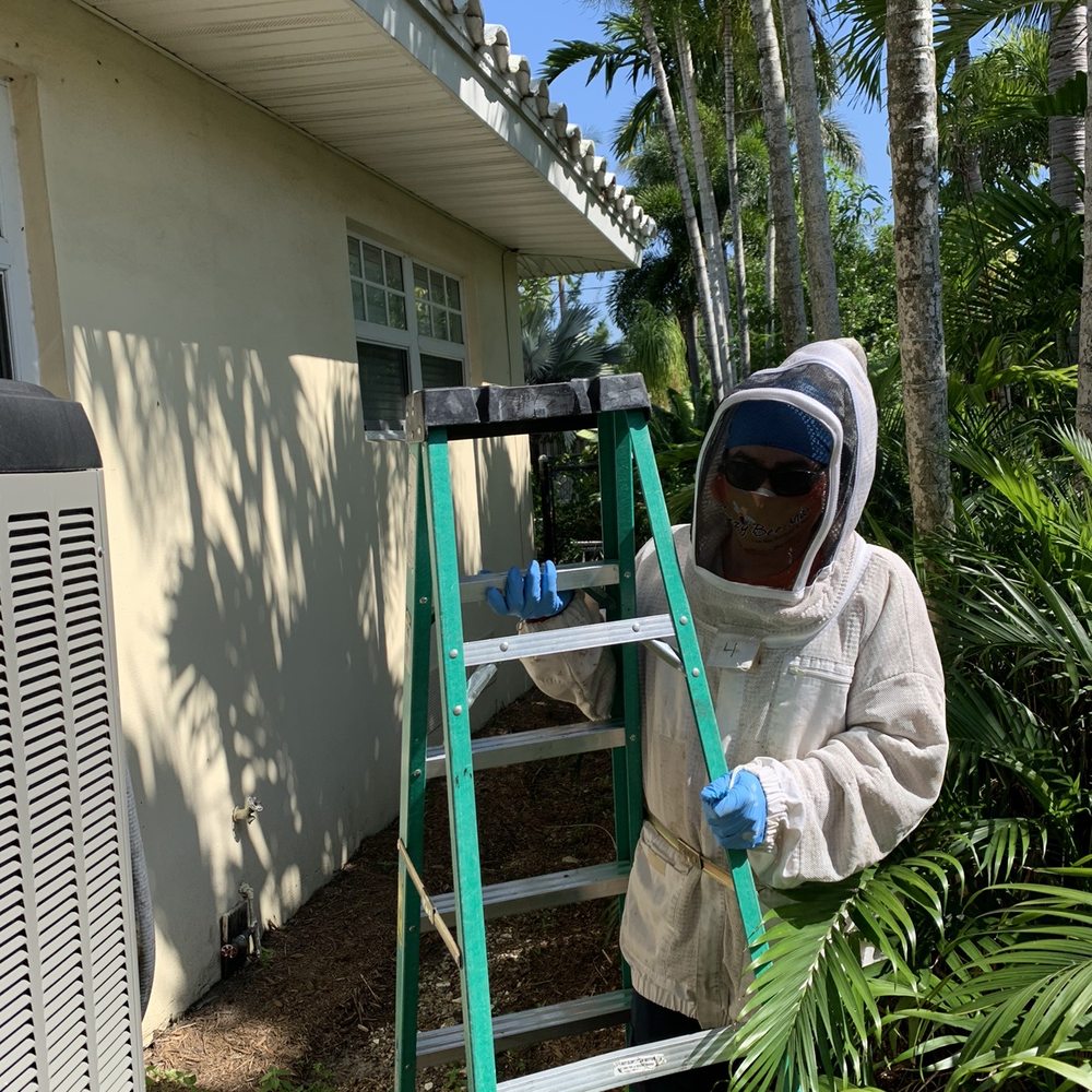 Crazy Bee Man - Pest Control Near Me Crazy Bee Man - Pest Control Near Me