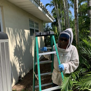 Crazy Bee Man - Pest Control Near Me
