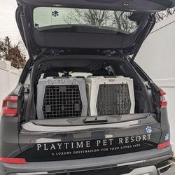 Playtime Pet Resort - Safe Ruffland enclosures.