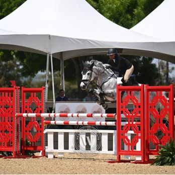 Paxton - Nilah & Mac Cloud - 1.20 Junior Jumpers @ Woodside Spring - Horseback Riding Near Me - Briones, California Paxton - Nilah & Mac Cloud - 1.20 Junior Jumpers @ Woodside Spring - Horseback Riding Near Me - Briones, California
