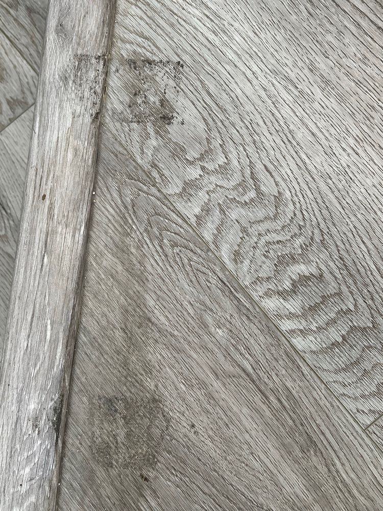 Slide of Everlast Construction