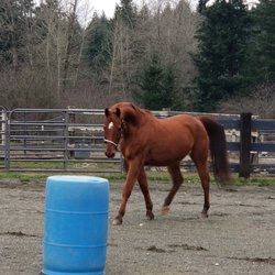High Point Equestrian Center