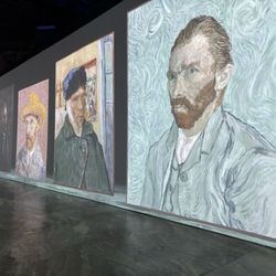 Beyond Van Gogh Austin