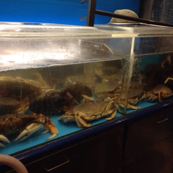 Triple Crown Restaurant - Dim Sum Near Me - Chicago, Illinois Triple Crown Restaurant - Dim Sum Near Me - Chicago, Illinois