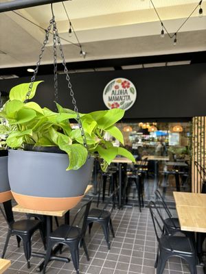 Aloha Mamacita by null