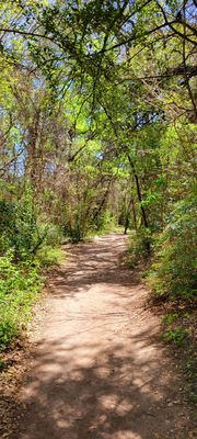 Barton Creek Greenbelt by null