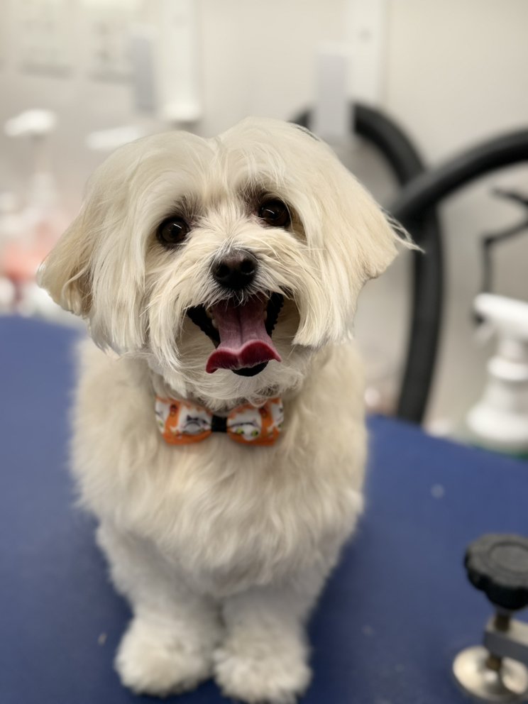 o Jupiter Florida Real Estate For Sale