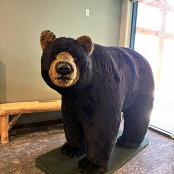 Big Bear Discovery Center - Hiking Near Me - Fawnskin, California