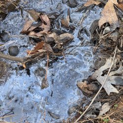 Rapid Rooter Septic Service