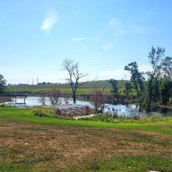 Portal Recreation Area - Lake