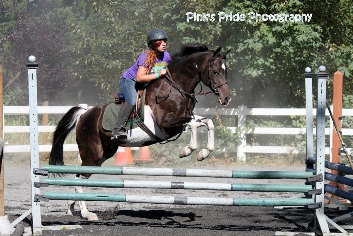 All Starr Stables, LLC - equestrian in Snohomish, WA