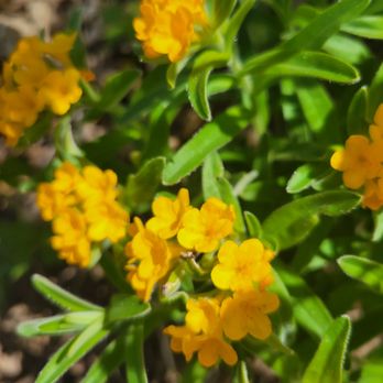 Kettle Moraine Land Stewards - Landscaping Near Me Kettle Moraine Land Stewards - Landscaping Near Me