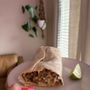 Photo of The Salty Burrito