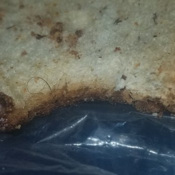 Panera Bread - Hair cooked directly inside my slice of bread - Sandwiches Near Me - Altamonte Springs, Florida