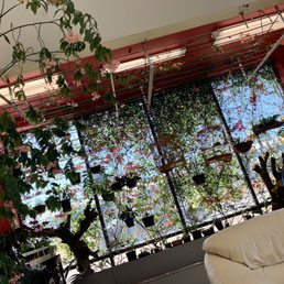 Live birds and plants. Sounds like vacation when you walk inside Live birds and plants. Sounds like vacation when you walk inside