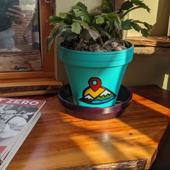 Out There Coffee - a potted plant on a table - Coffee & Tea Near Me - Cape May, New Jersey Out There Coffee - a potted plant on a table - Coffee & Tea Near Me - Cape May, New Jersey