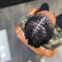 Photo of Vanity Hair Studio NYC