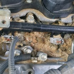 user provided Prescott Car Care photo