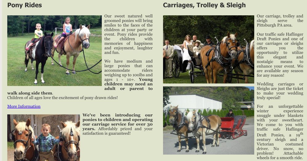 tim swickrath pony ride and carriage services - equestrian in Pittsburgh, PA