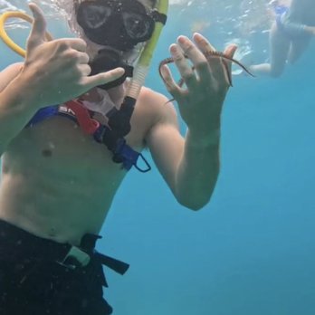 Tilden's Scuba Center - Scuba Diving Near Me - Marathon, Florida
