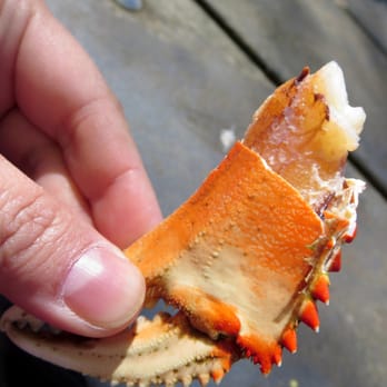 Friday Harbor Seafood - Dungeness crab - Seafood Markets Near Me - Friday Harbor, Washington