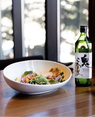 Kenichi Snowmass by null