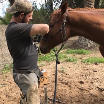 Dusty Dreams Horseshoeing - Red saying thanks to Dustin for his great work today! - Pet Services Near Me - Ramona, California Dusty Dreams Horseshoeing - Red saying thanks to Dustin for his great work today! - Pet Services Near Me - Ramona, California