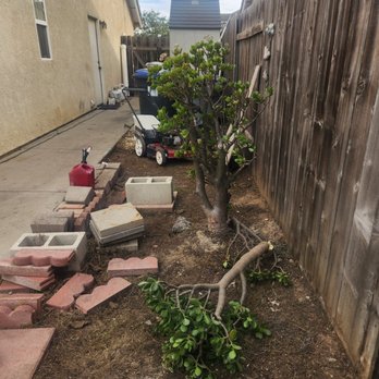 Clark Pest Control - Another angle - Pest Control Near Me - Santa Maria, California