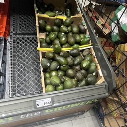 Cheap avocados