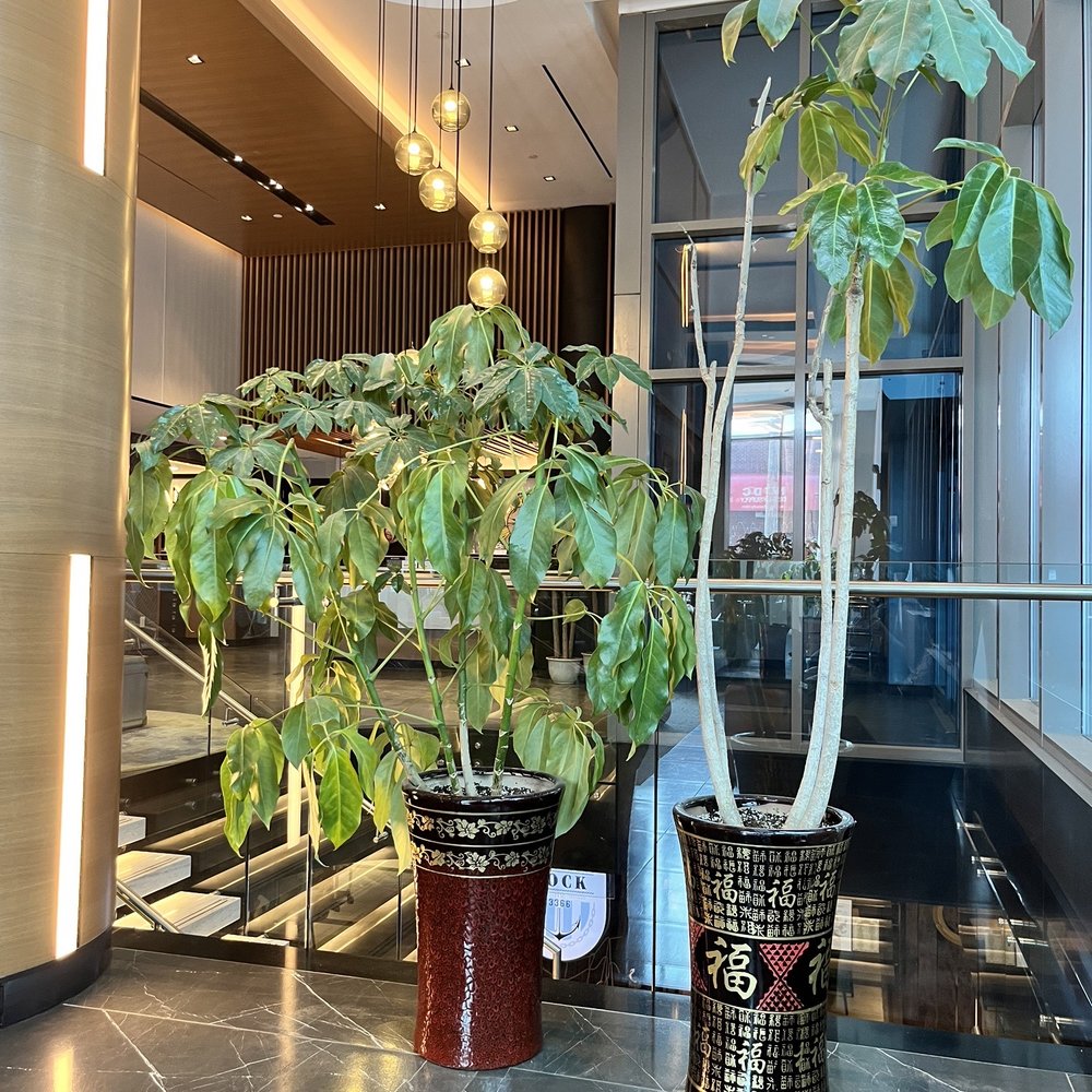 Four Points by Sheraton - Hotels Near Me - Flushing, New York Four Points by Sheraton - Hotels Near Me - Flushing, New York