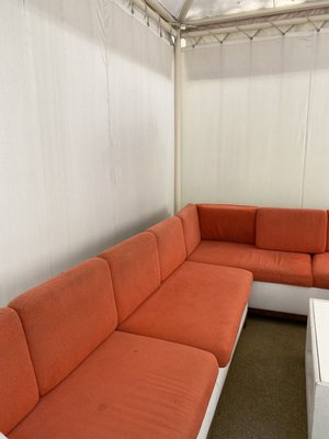 Venus Pool + Lounge by null