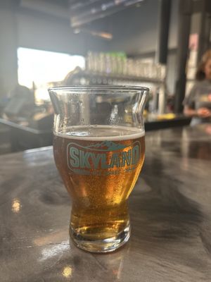 Skyland Ale Works by null
