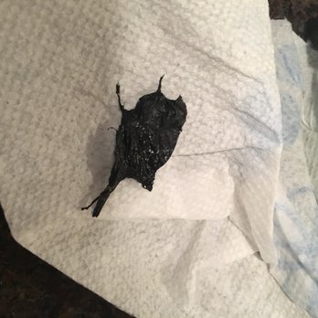 sweetgreen - Healthy Salads, Wraps, and Bowls - Piece of black trash bag in salad - Salad Near Me - Fairfax, Virginia sweetgreen - Healthy Salads, Wraps, and Bowls - Piece of black trash bag in salad - Salad Near Me - Fairfax, Virginia