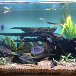 BORONIA Aquarium & Reptiles