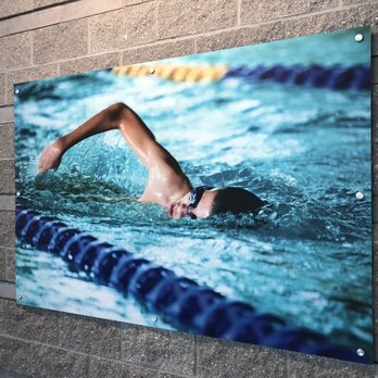 The Long Center - What a beautiful photo on the Pool's wall! - Recreation Centers Near Me - Clearwater, Florida The Long Center - What a beautiful photo on the Pool's wall! - Recreation Centers Near Me - Clearwater, Florida