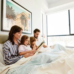 Ortho Mattress