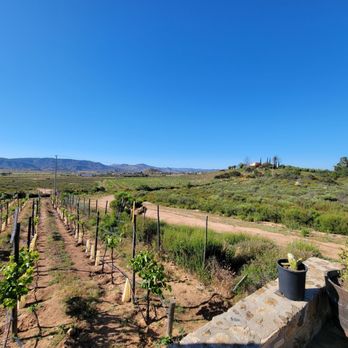 Xecue - Wineries Near Me - Ensenada, BCN