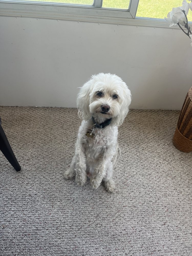 ANCHOR BAY VETERINARY CENTER Updated September 2024 14 Reviews