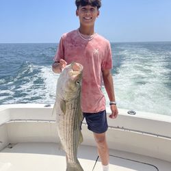 Black Rock - Striped Bass