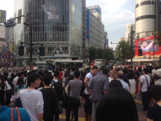 Shibuya Scramble Crossing by null