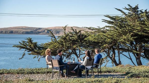 Sonoma Coast Vineyards by null