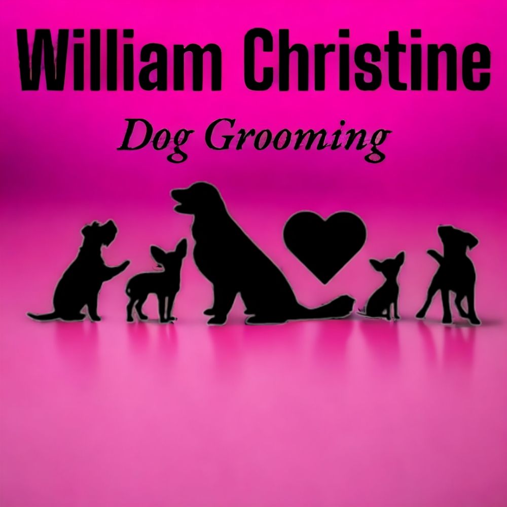 WILLIAM CHRISTINE DOG GROOMING Updated September 2024 Request an Appointment Lincoln