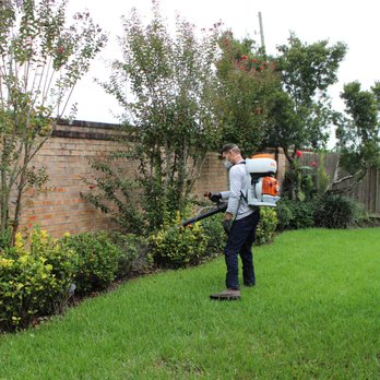 Rightway Pest & Home Services - Mosquito Control - Pest Control Near Me Rightway Pest & Home Services - Mosquito Control - Pest Control Near Me