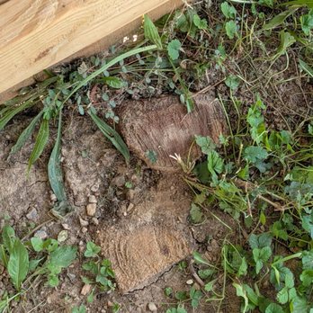 Ergeon - Another post cut at ground level instead of being removed. - Fences & Gates Near Me - Atlanta, Georgia