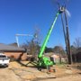 Mid State Tree Service