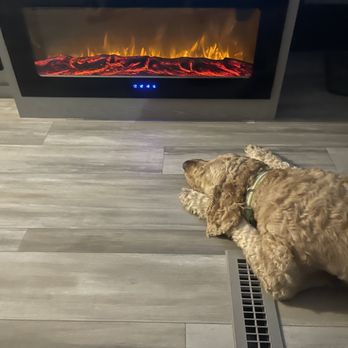 Trailer Hitch RV - Happy puppy in front of the fire - RV Dealers Near Me - Nipomo, California Trailer Hitch RV - Happy puppy in front of the fire - RV Dealers Near Me - Nipomo, California